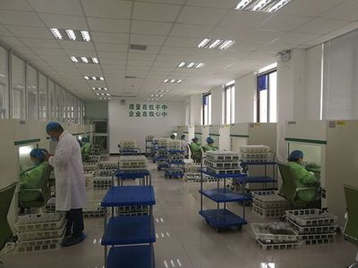 構樹扶貧新策 蘭考產業項目考察記